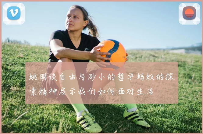 姚明谈自由与渺小的哲学蚂蚁的探索精神启示我们如何面对生活