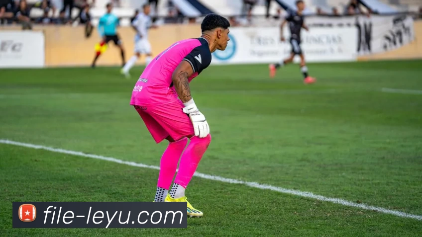 乐鱼体育APP 高清赛事图